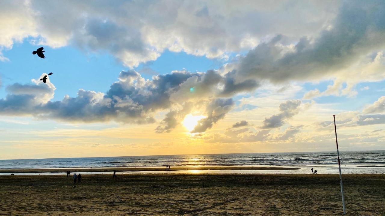 Mevira Appartement Zandvoort Εξωτερικό φωτογραφία